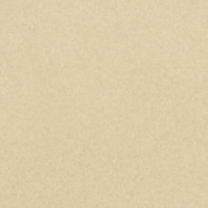 Cheshire Stone 305 x 610 x 4mm